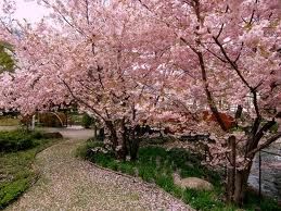 Ogn'anno a Primavera (11 aprile)