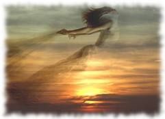 Voglio scrivere una poesia