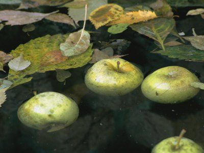 Il parere del buon senso