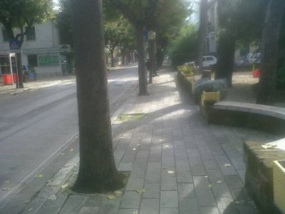 Su Viale Nettuno le foglie