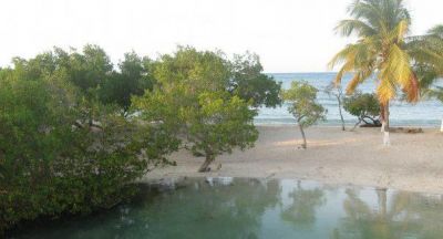 Verranno altri giorni