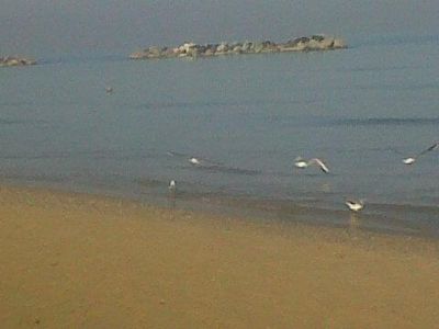 La seduzione della mente