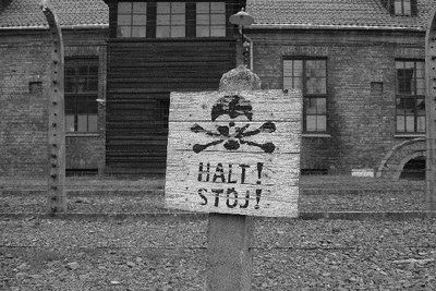 La libertà non è una risata