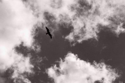 Torrido sogno d'estate