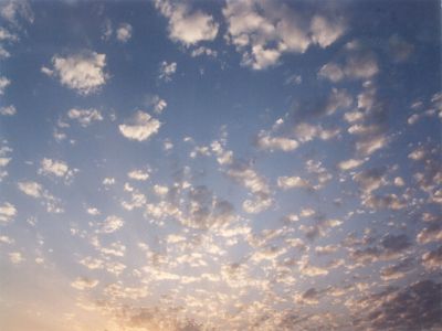 Madre nostra di Servigliano