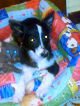 Ci� che mi hai regalato