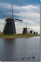 Chisciottiane Pale Impigrite