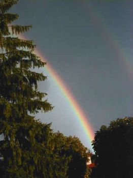 Viso sferzato da pioggia di primavera