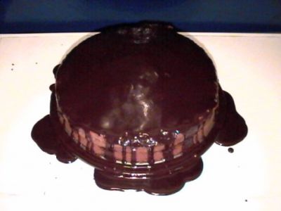 Sacher d' Amore