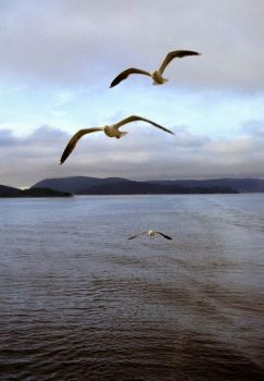 Il mio destino d'amarti