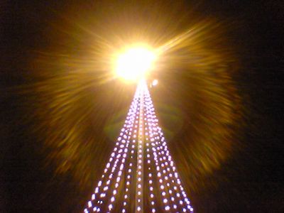 Sulla Scia di una Stella Cometa