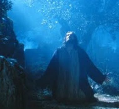 Oltre i cespugli del Getsemani