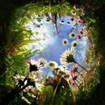 Nel posto che nessuno sa