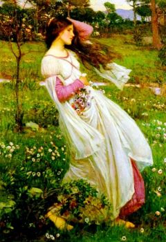 Nei Giardini Dell'Anima