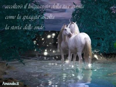 Se... oltre la porta dei torti