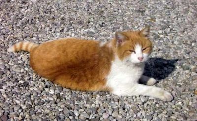 Il paradiso che vorrei