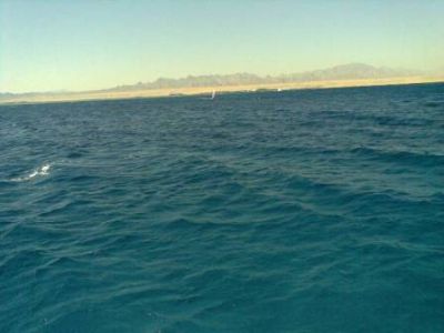 Si adagia il meriggio