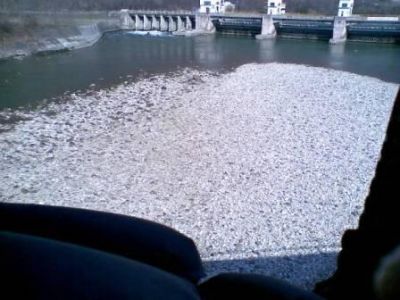 In attesa del sereno