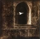 Risveglio di nuova stagione