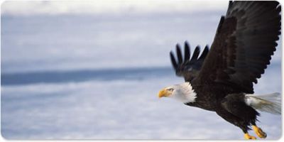 Nel mondo ma fuori del mondo  