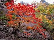 Un istante � per sempre