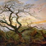 Il Noce delle Streghe