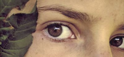 La meglio giovent�