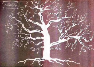 Diritto alle Origini