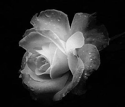 La figlia che non ho