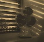 Dacci oggi il nostro omicidio quotidiano  