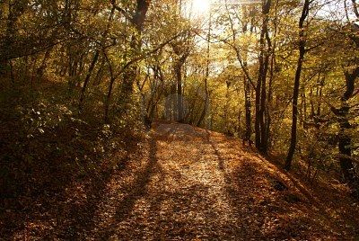 Le parole sono pietre  