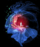 La notte dei ricordi