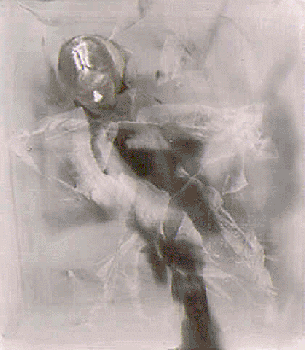 Vivo di sogni e di speranze  