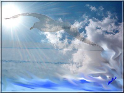 Un�alba di febbraio  