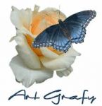 Le prime rose di maggio