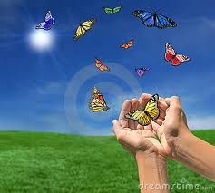 Farfalle nel giardino