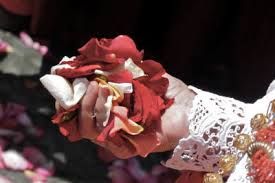 I fiori del silenzio