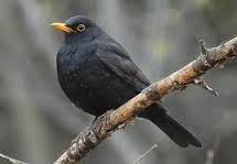 Per ingannare l'attesa