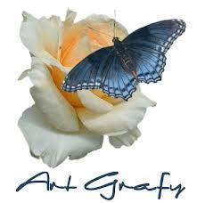 La leggerezza della farfalla