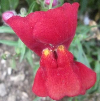 Non è accontentarsi