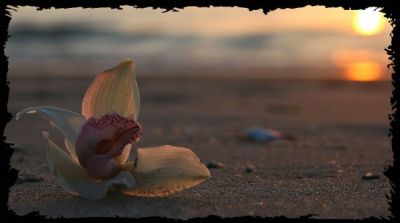 Dove arriva il vento