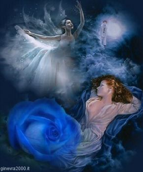 11 agosto 2010 lucciola stellare