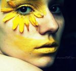 Dentro la circostanza