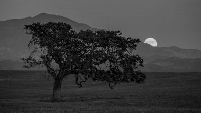 Chiaroveggenza del domani