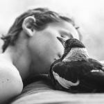 Almanacco d�un sogno breve