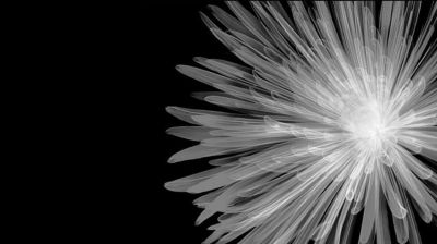 Solstizio di luce vera