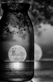 La piazza silenziosa