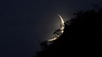 Inammissibile sconfitta