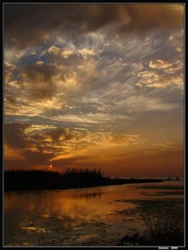 Di me capisco solo l'errore