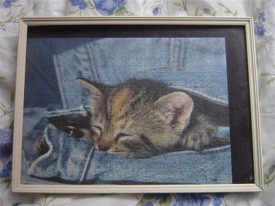 La gatta si fa le unghie sui miei jeans